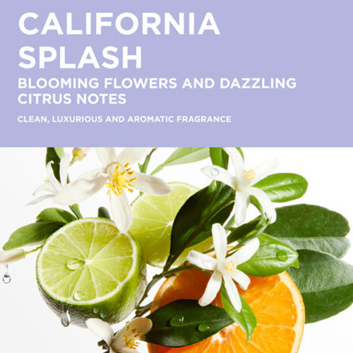 BLOND ABSOLU BAIN ULTRA-VIOLET